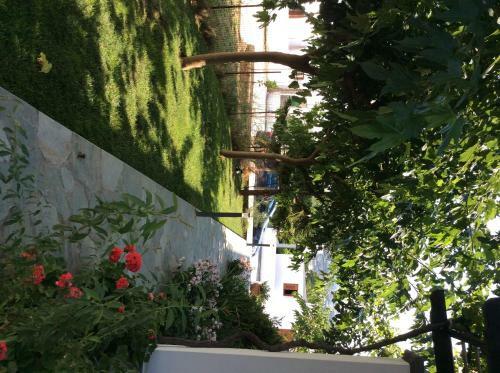 Bed & Breakfast Eleana Studios