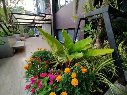 Hotel Siri Ratchada Bangkok