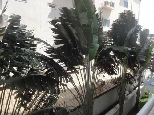 1 Bedroom View Swimming Pool 316 Jhr