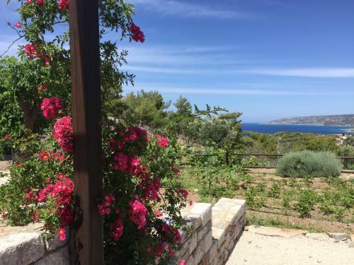 Apartamento Auberge Kalopetri