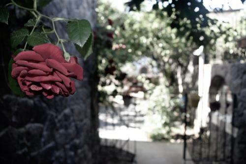 Bed & Breakfast Villa No 5