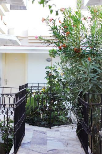 Hotel A�elya Otel