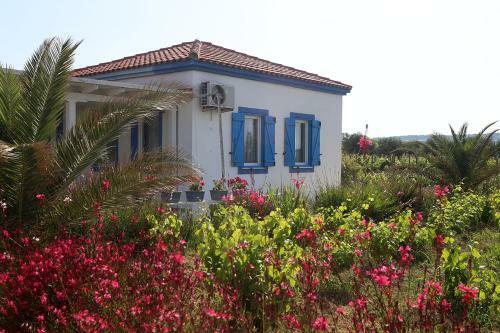 Hotel Bozcaada Ilg?n Ba? Evi