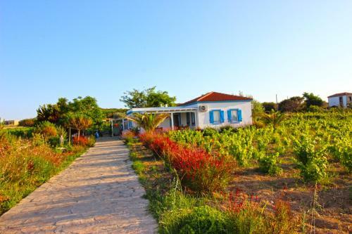 Hotel Bozcaada Ilg?n Ba? Evi