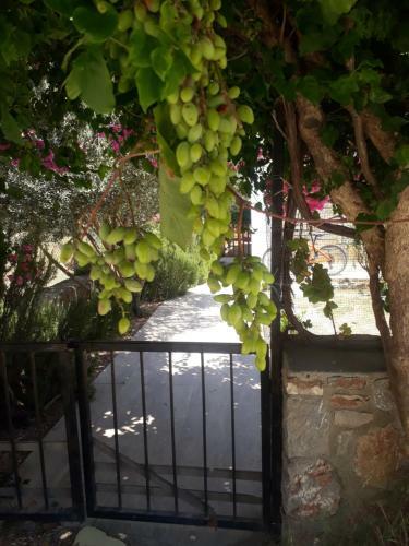Apartamento Dat�a Apple House Kelebek - 2 Da?re
