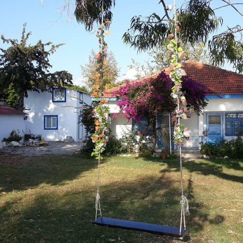 Bed & Breakfast Okaliptus Butik Hotel