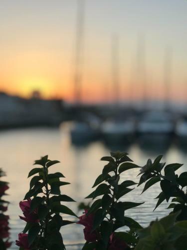 Bed & Breakfast Bizim Ev Otel Ala�at?