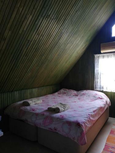 �?ral? Camping