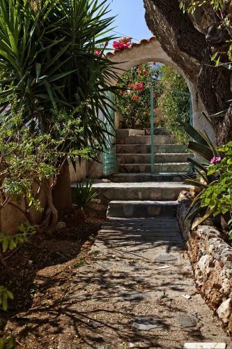 Villa Thetis