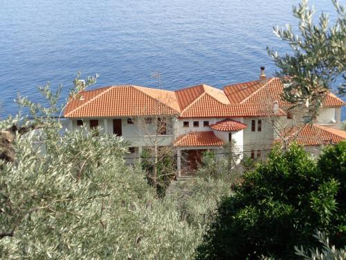 Hotel Faros