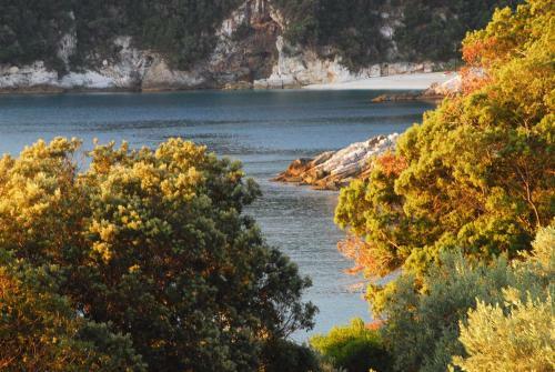Hotel Faros