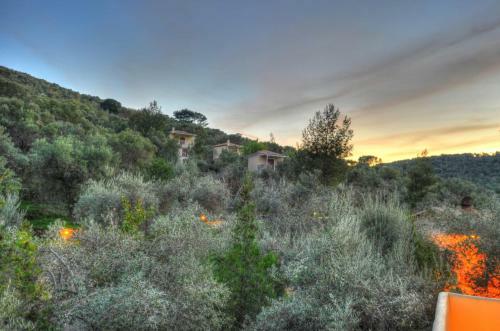 Hostal Gera's Olive Grove (elaionas Tis Geras)