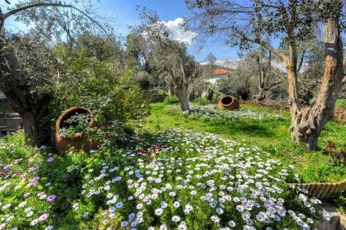 Hostal Gera's Olive Grove (elaionas Tis Geras)
