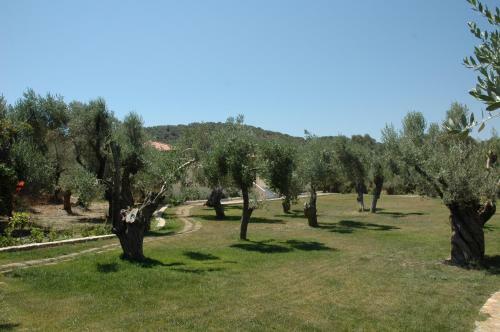Hostal Gera's Olive Grove (elaionas Tis Geras)