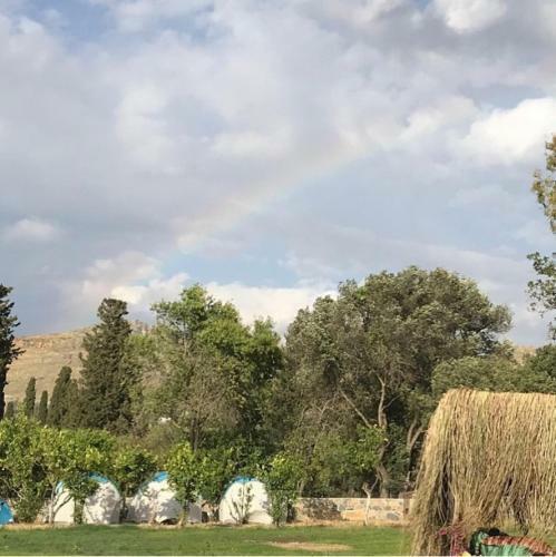 Bodrum Masali Camping