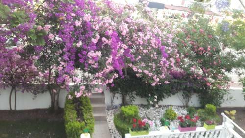 Apartamento Marmaris*i�melerin Kalbinde Bir Ev