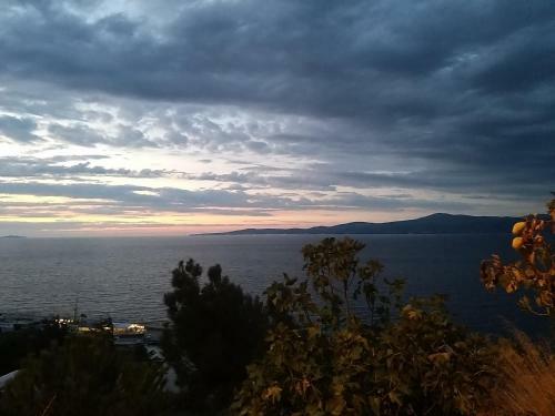 Apartamento Mudania Residance