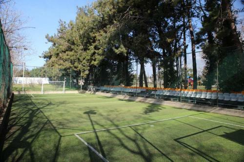 Bed & Breakfast Mavidebul