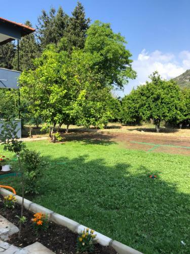 Apartamento G�kova Home?s