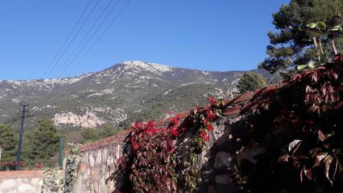 Apartamento Orka Gardens F1