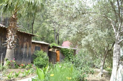 Mercan Pension