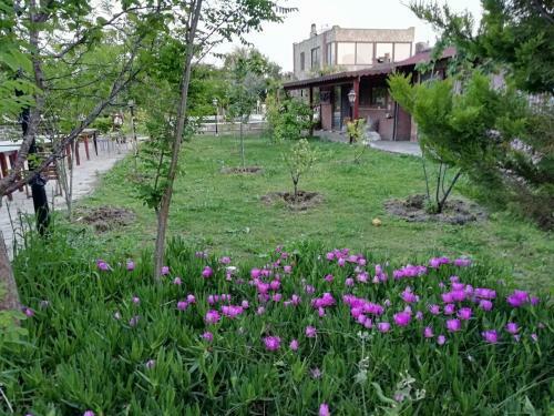 Hotel Dodo House Bodrum