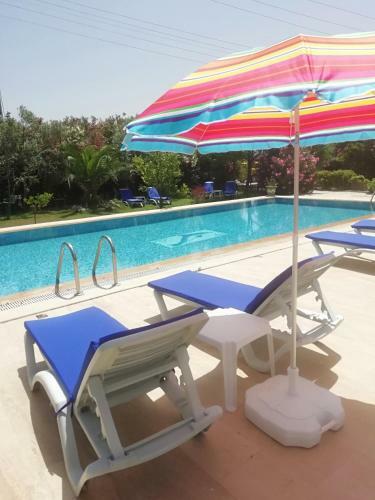Hotel Dodo House Bodrum