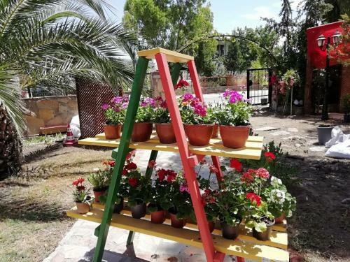 Hotel Dodo House Bodrum