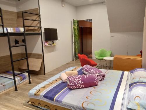 Albergue ???????