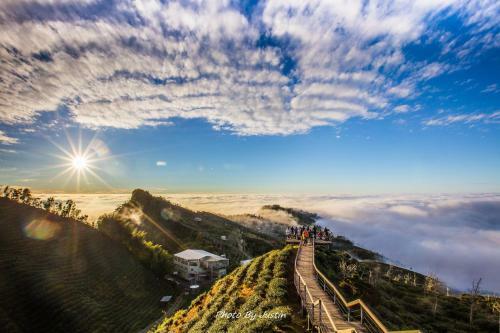 Xitou Zhanggui Homestay