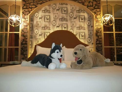Motel ??motel????
