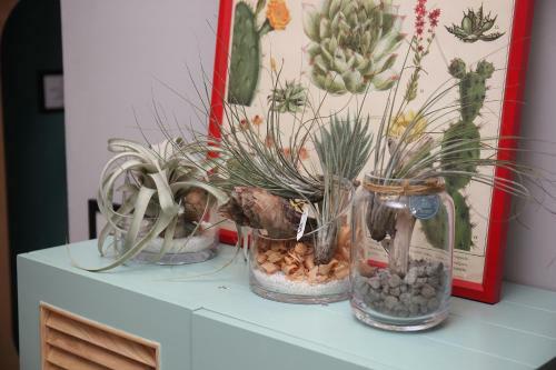 Apartamento Spring Guest House