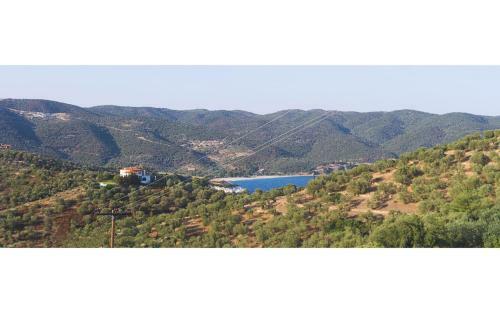 Art Hotel Panorama