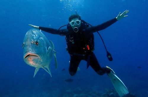 Diveholix Dive Hostel??-?????x??