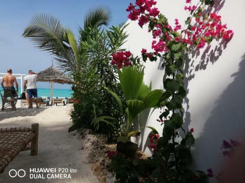 Bed & Breakfast Peterpan Beach Hotel & Italian Restaurant