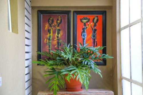 Bed & Breakfast Malkia Trees Lodge