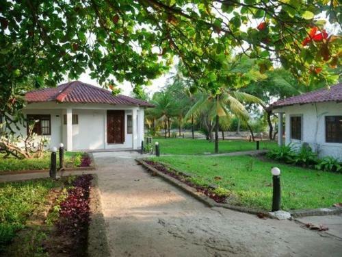 Bed & Breakfast Palm Tree Resort Paje