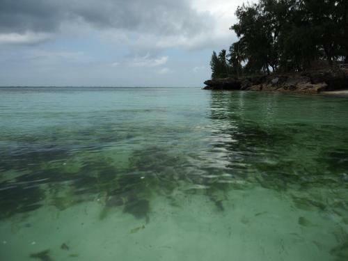 Hotel Coco Reef Ecolodge