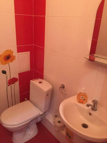Albergue " Euro Comfort"