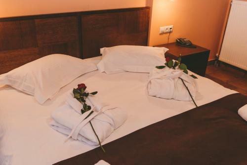 Hotel Thea Mainalou