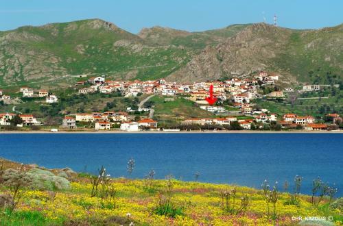 Apartamento Panorama Plati