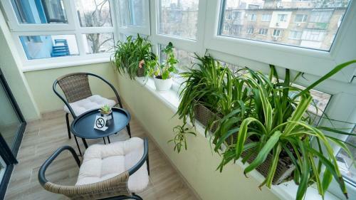 Apartamento Eco Studio