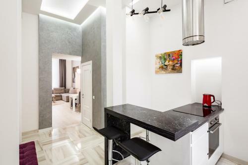 Deluxe Apartment In Horodotska 33