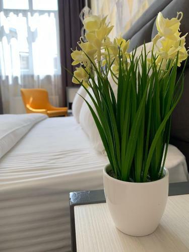 Ok Apartments Nasypna