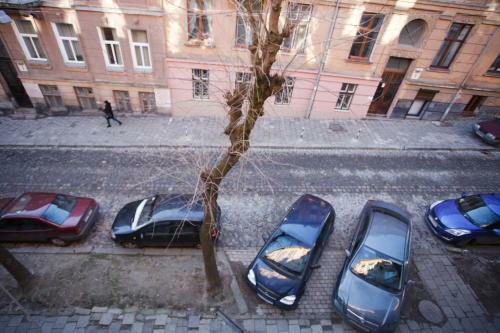 Central Apartment Near The Park
