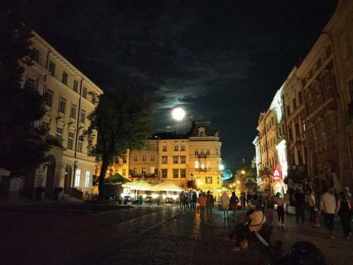 Modern Apartment In Lviv Historic Centre