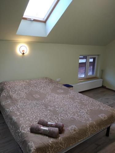 Hostal ????????? ??????