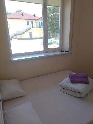 Albergue ?????? ??????
