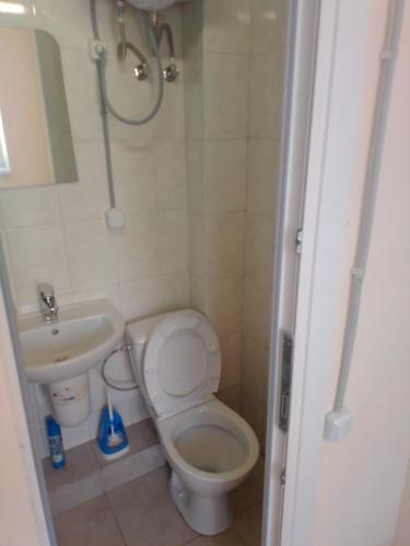 Albergue ?????? ??????