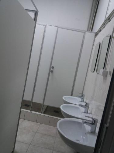 Albergue ?????? ??????